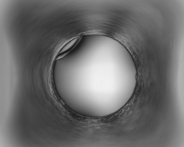 X0000095920289200801251035