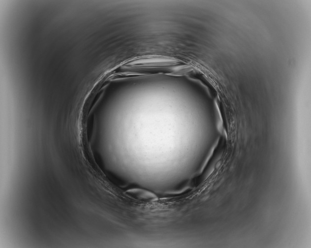 X0000095920290200801251035