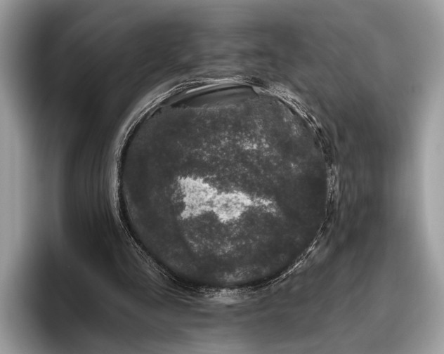 X0000095920293200801251035