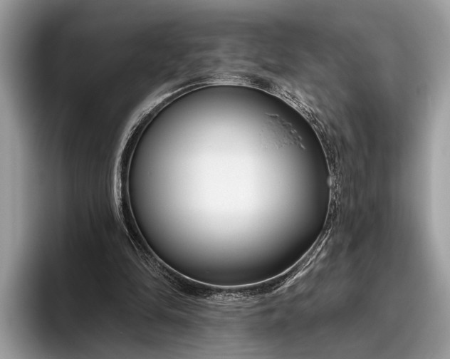 X0000095920294200801251035