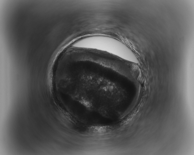 X0000095920295200801251035