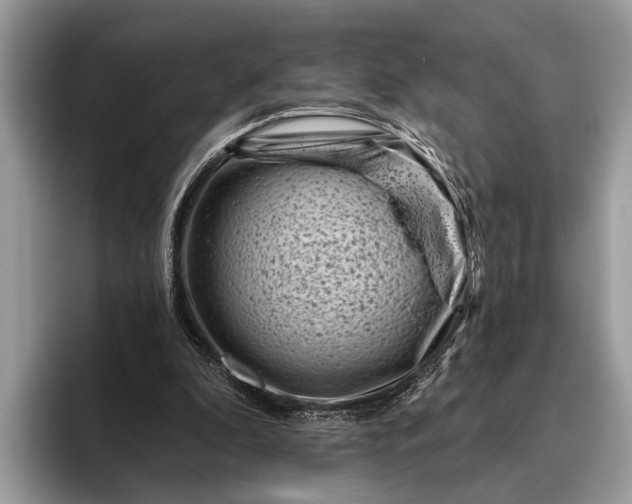 X0000095920296200801251035