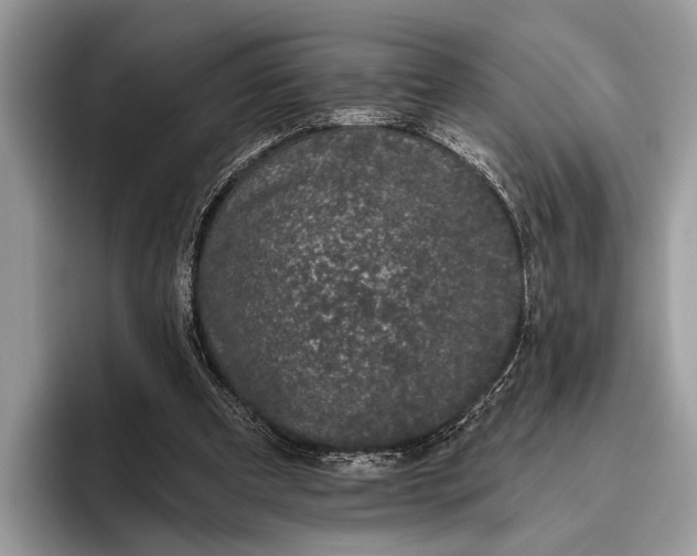 X0000095920297200801251035