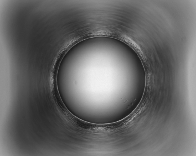 X0000095920298200801251035