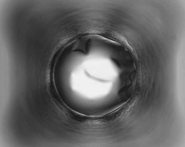 X0000095920299200801251035