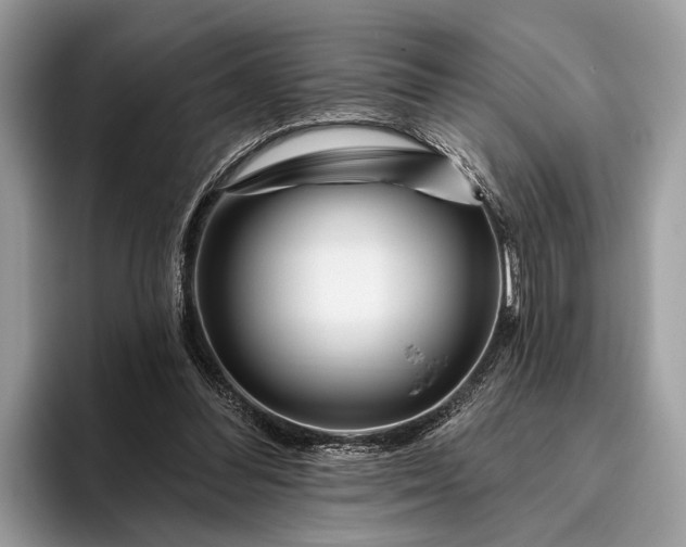 X0000095920300200801251035