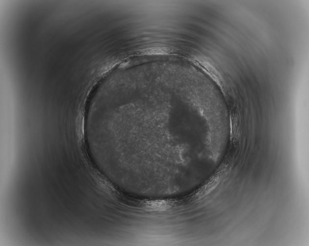 X0000095920301200801251035