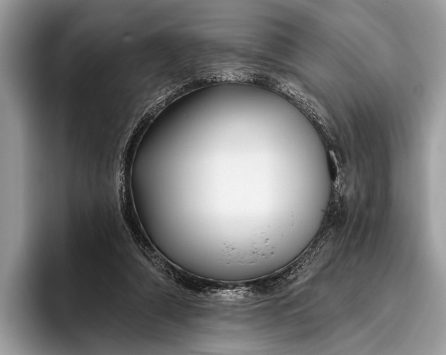 X0000095920306200801251035