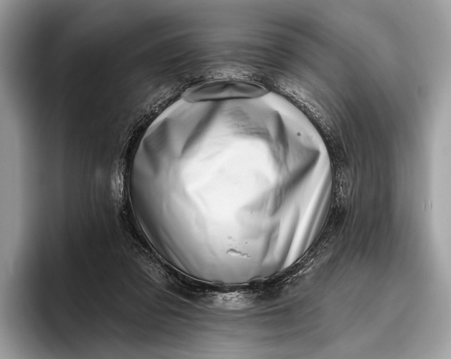 X0000095920309200801251035