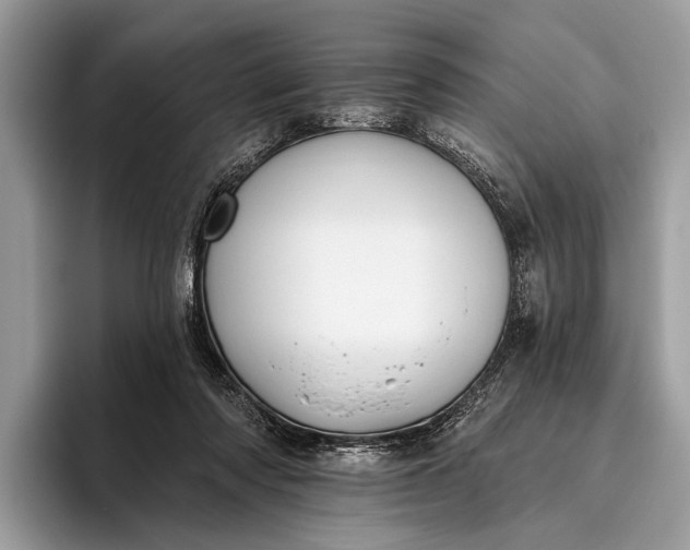 X0000095920310200801251035