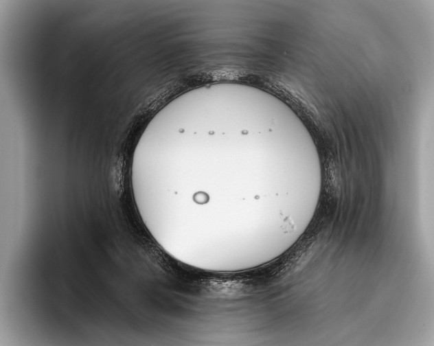 X0000095920311200801251035