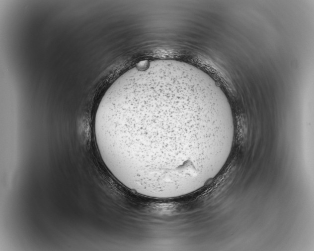 X0000095920313200801251035