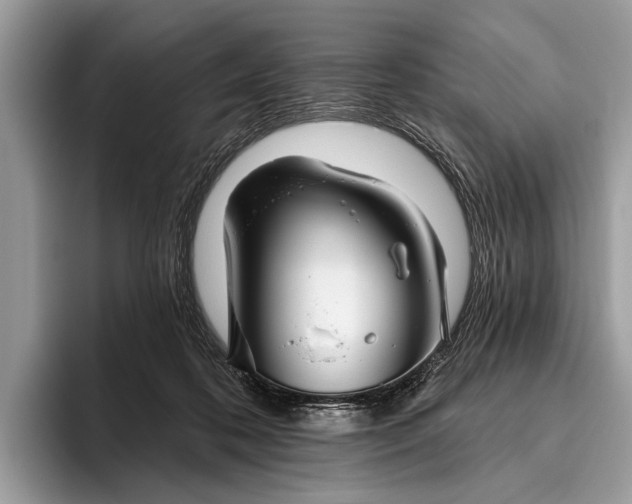 X0000095920316200801251035