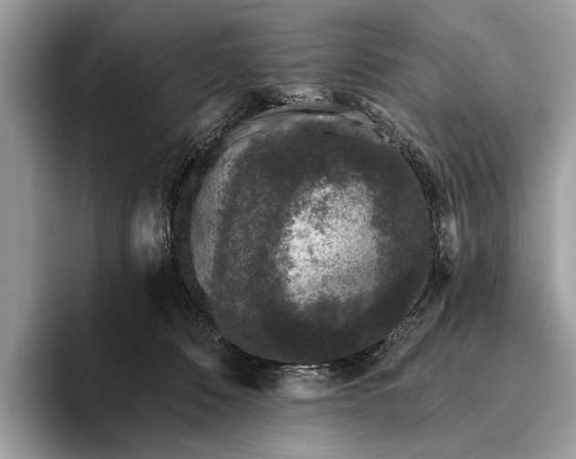 X0000095920320200801251035