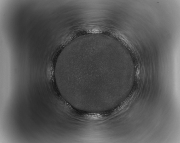 X0000095920322200801251035