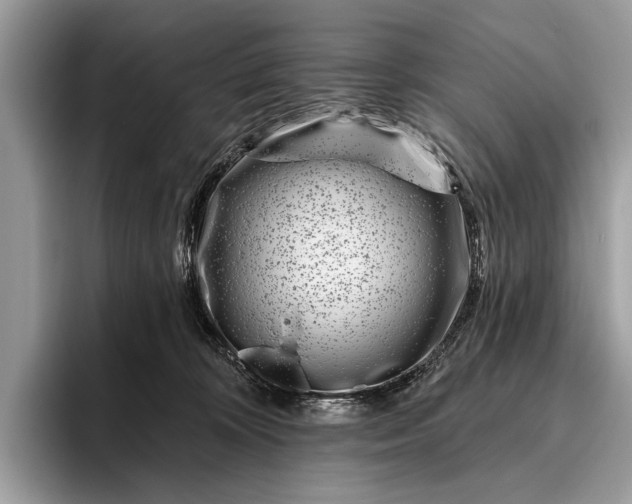 X0000095920324200801251035