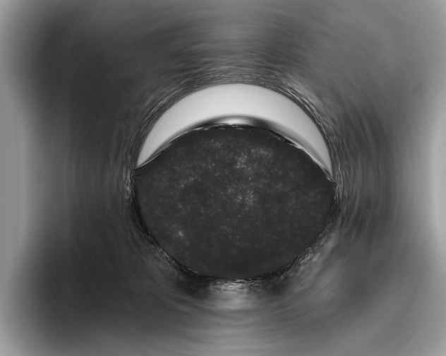 X0000095920325200801251035