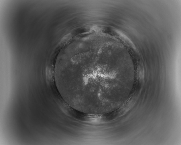 X0000095920328200801251035