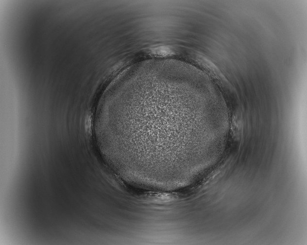 X0000095920330200801251035