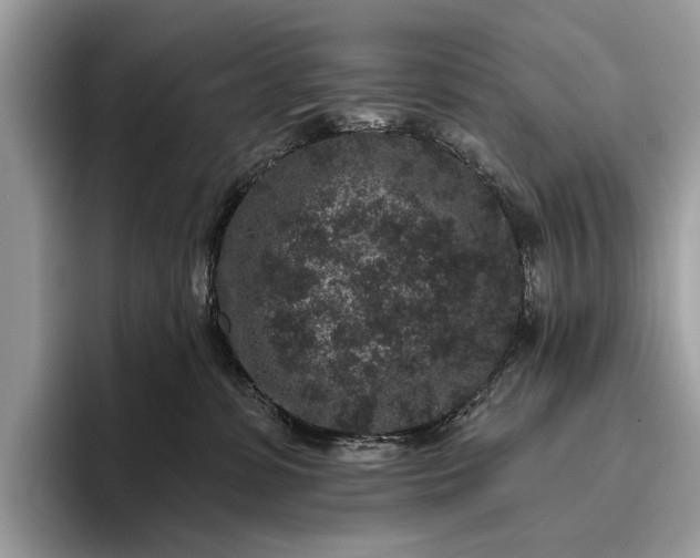 X0000095920331200801251035