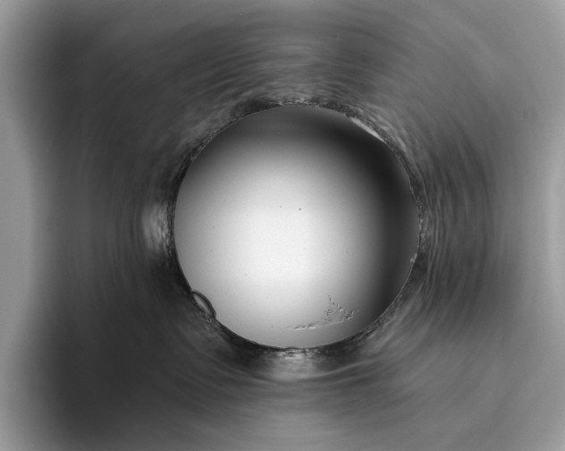 X0000095920335200801251035