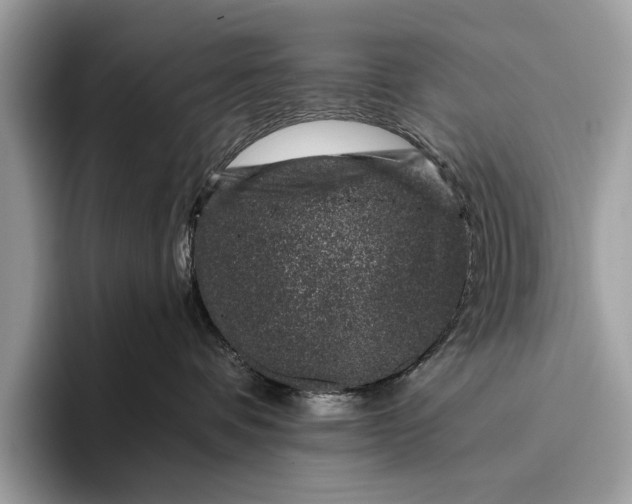 X0000095920336200801251035