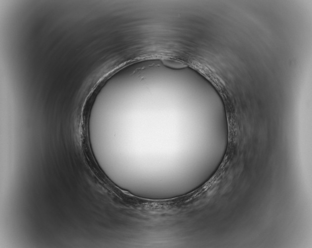 X0000095920338200801251034