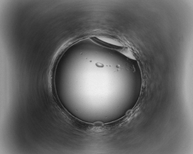 X0000095920341200801251034