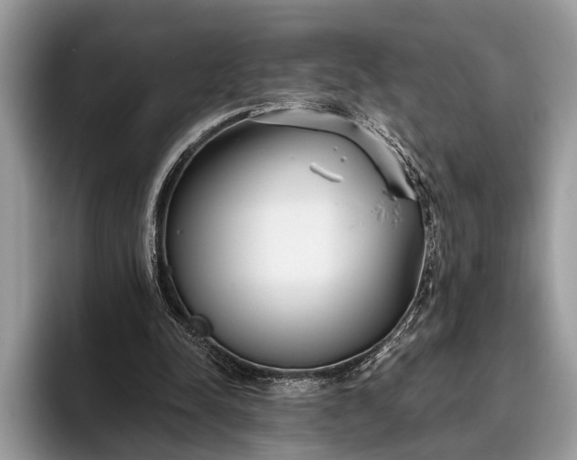 X0000095920342200801251034