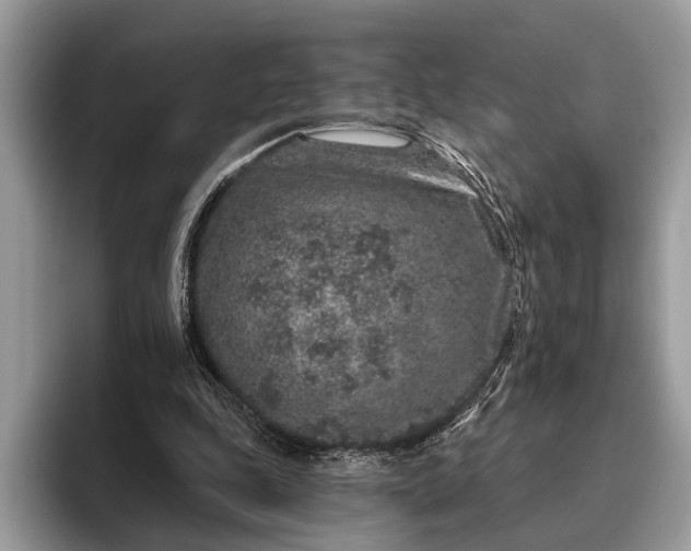 X0000095920343200801251034