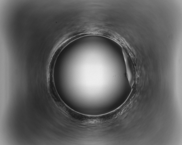 X0000095920344200801251034