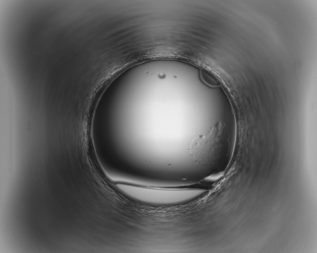 X0000095920345200801251034