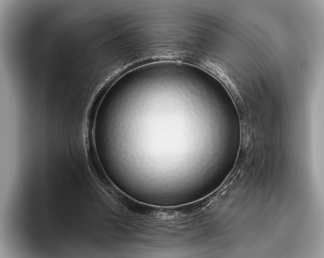 X0000095920346200801251034