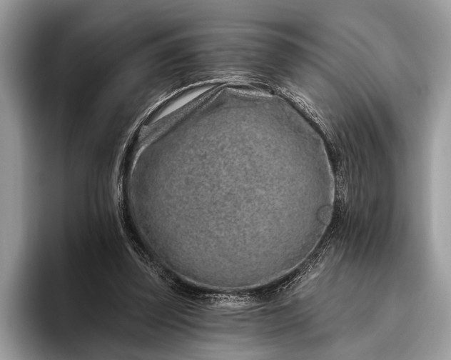 X0000095920347200801251034