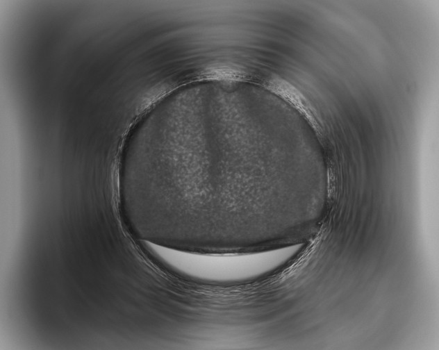 X0000095920349200801251034