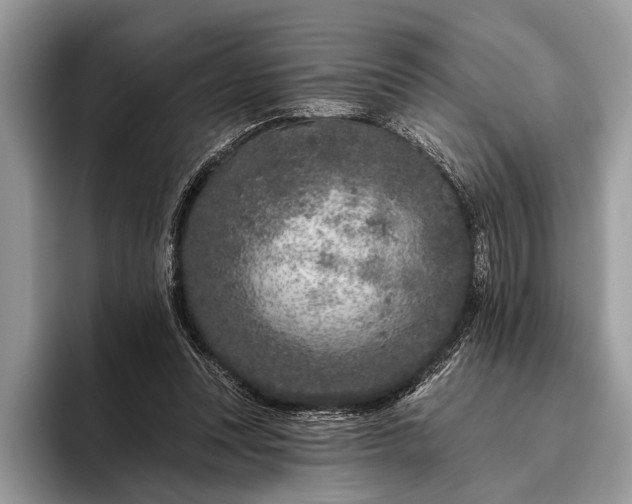 X0000095920351200801251034