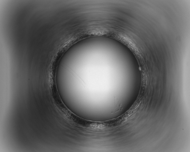 X0000095920354200801251034