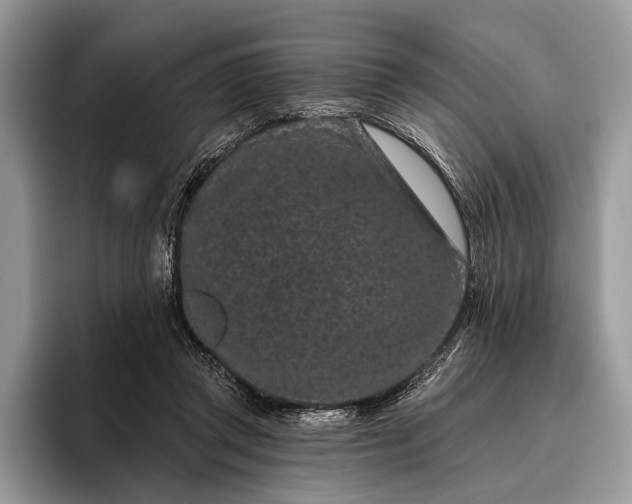 X0000095920357200801251034