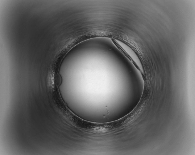 X0000095920358200801251034