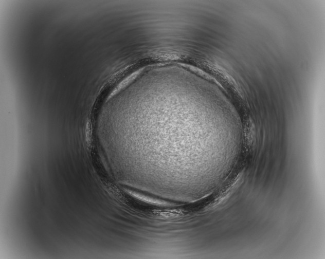 X0000095920359200801251034