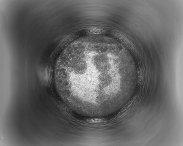 X0000095920361200801251034