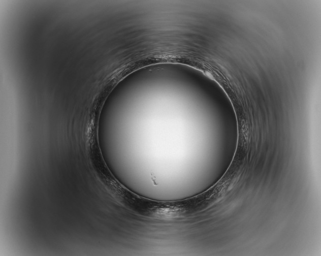 X0000095920364200801251034