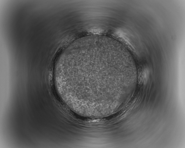 X0000095920365200801251034