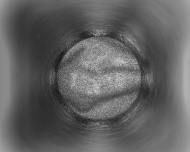 X0000095920367200801251034