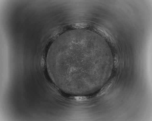 X0000095920371200801251034