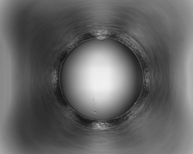 X0000095920372200801251034