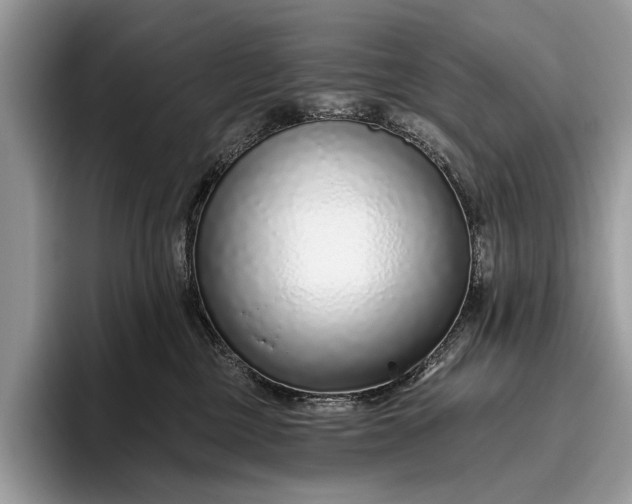 X0000095920377200801251035