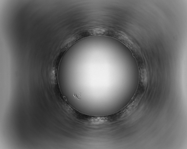 X0000095920378200801251035