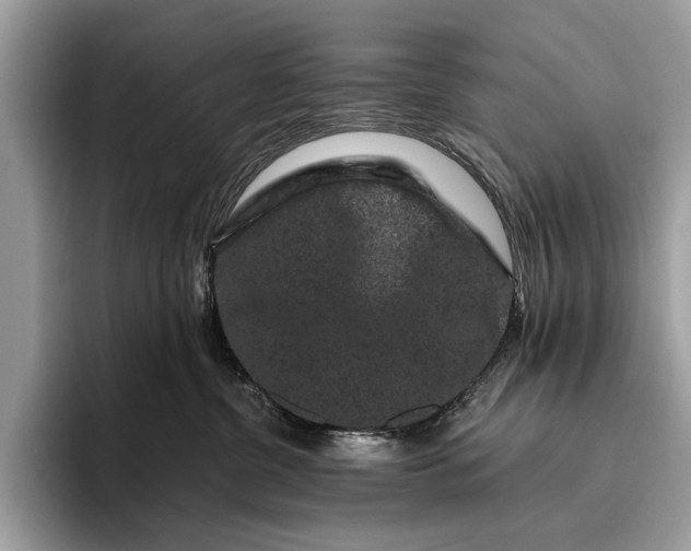 X0000095920380200801251035