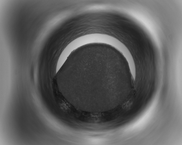 X0000095920382200801251035